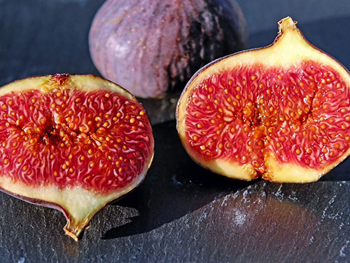 Fig