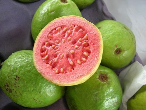 Guava