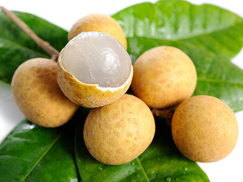 Longan