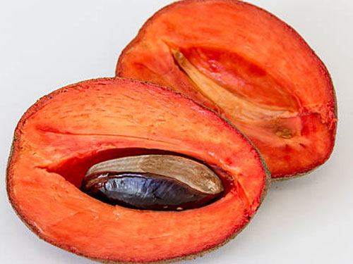 Mamey Sapote