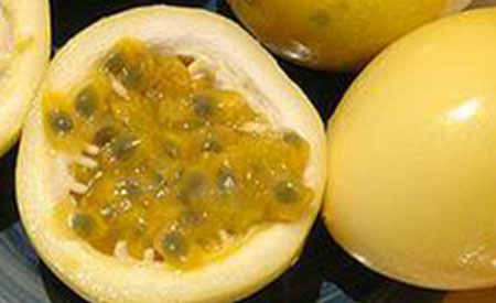 Passion-Fruit-3