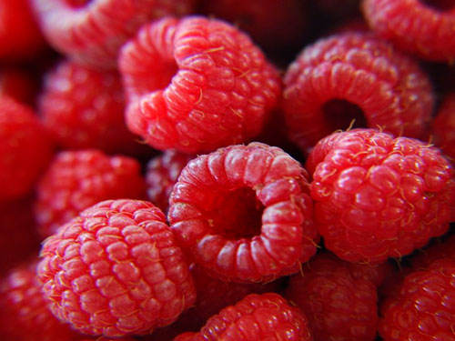 Raspberries