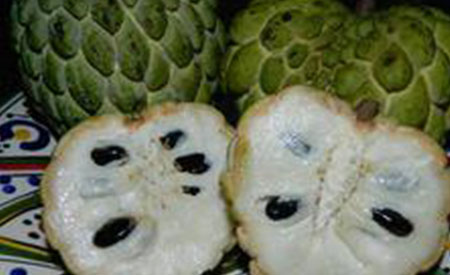 Sugar-Apple-3