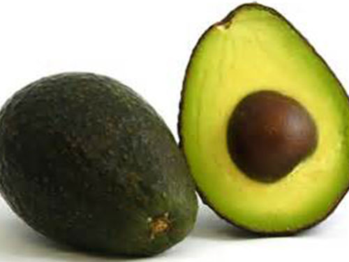 Super Hass Avocado